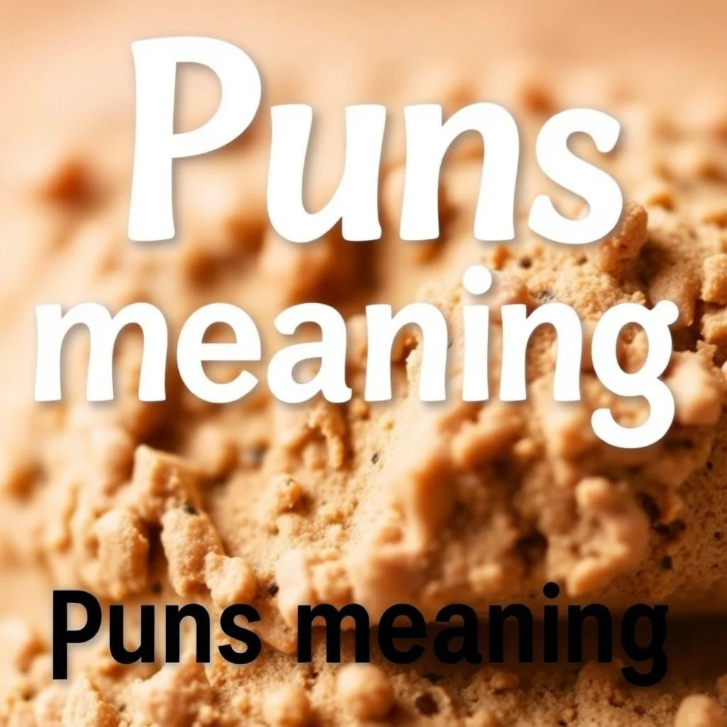puns meaning illustration